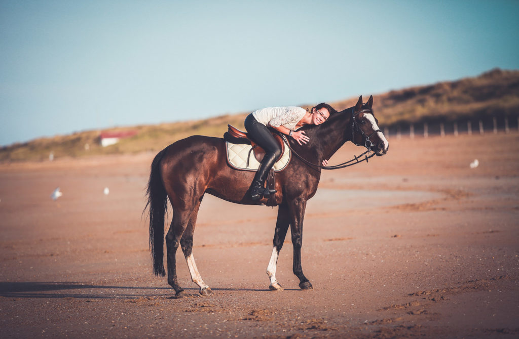 cavalier cheval photographe équin camille dubois indre et loire