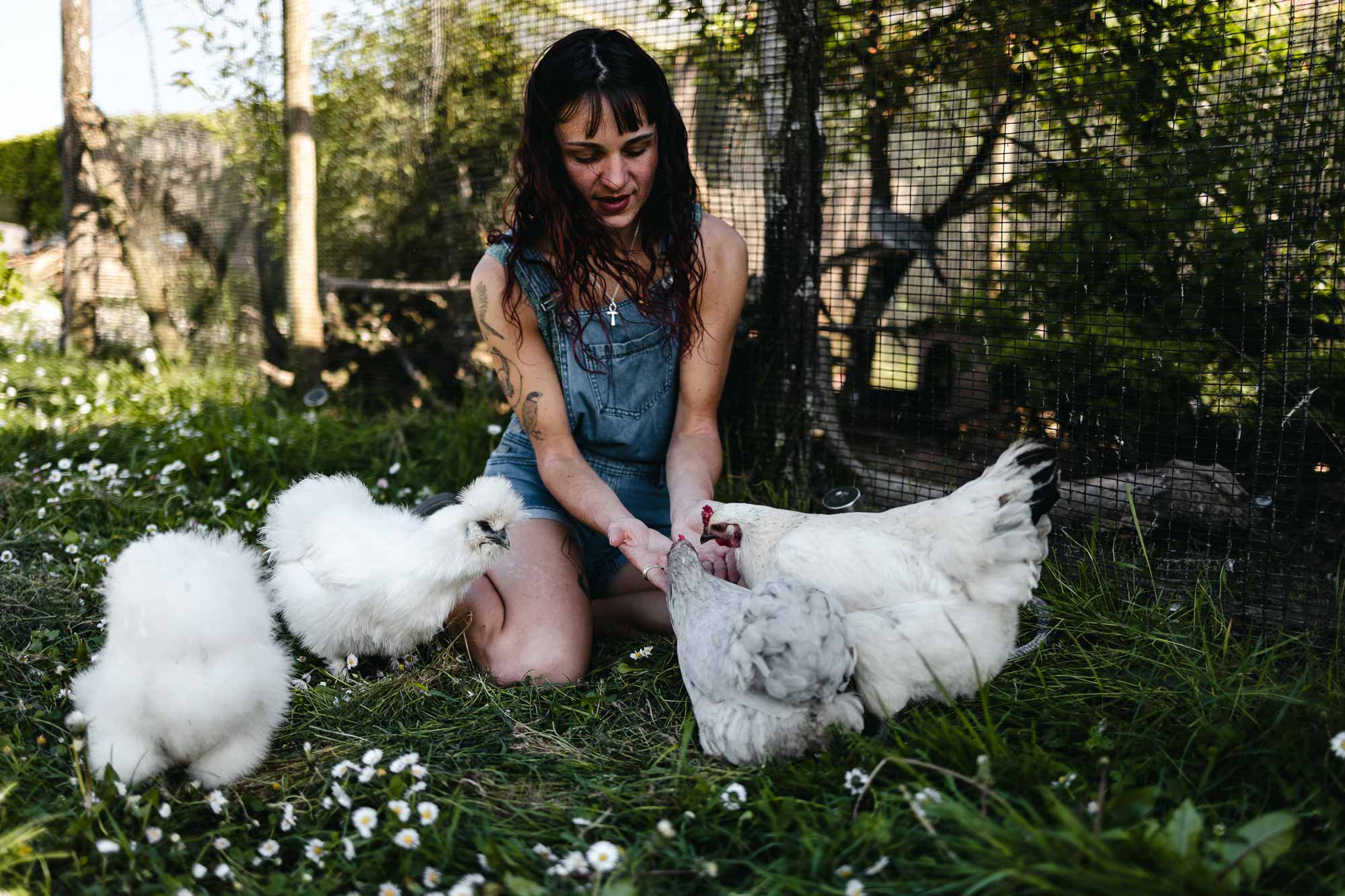 Photo animalier Tours