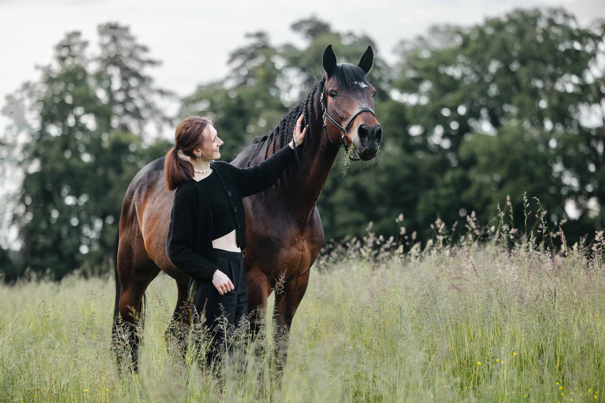 Photo animalier Tours