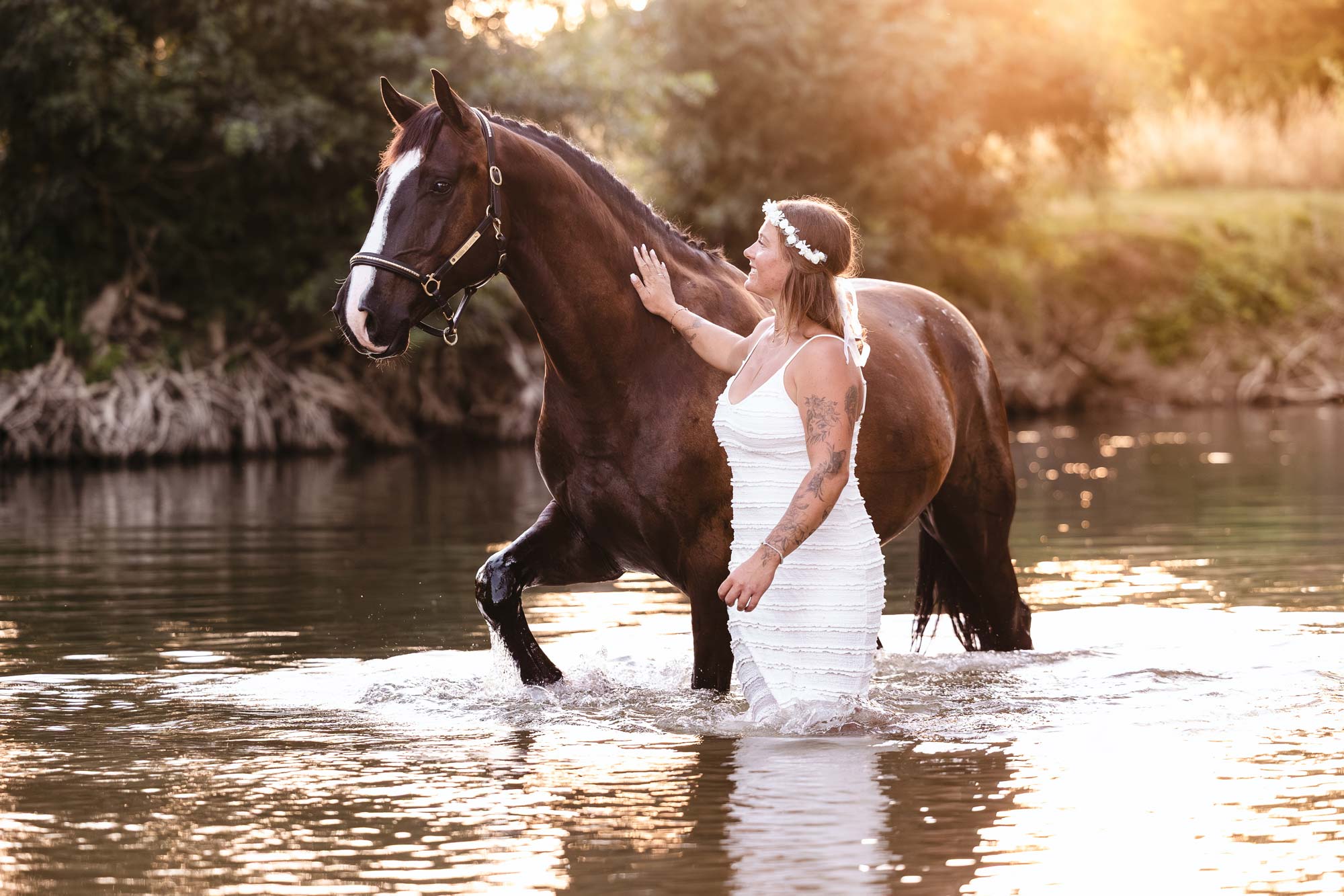 Photo animalier Tours