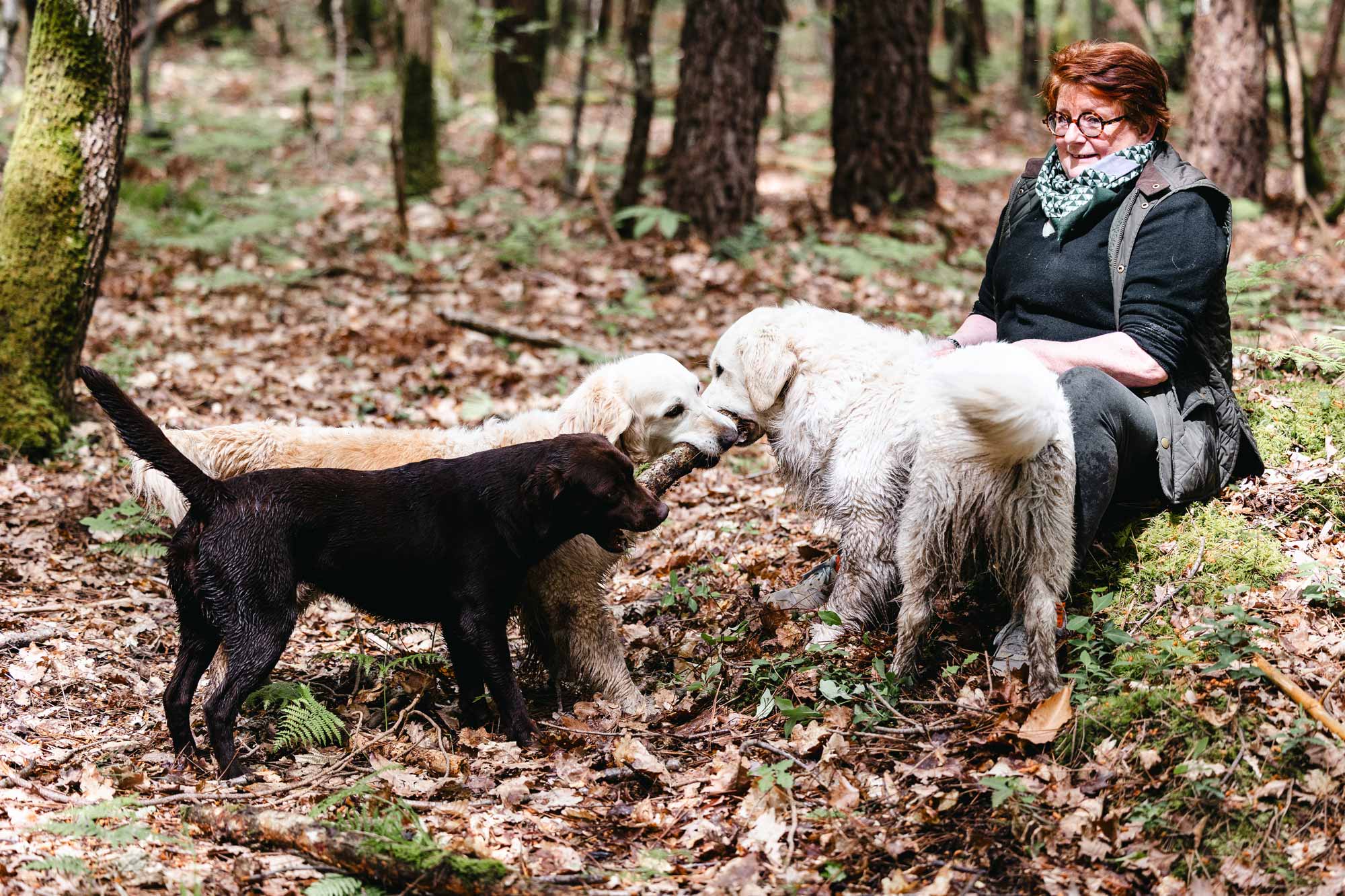 Photo animalier Tours